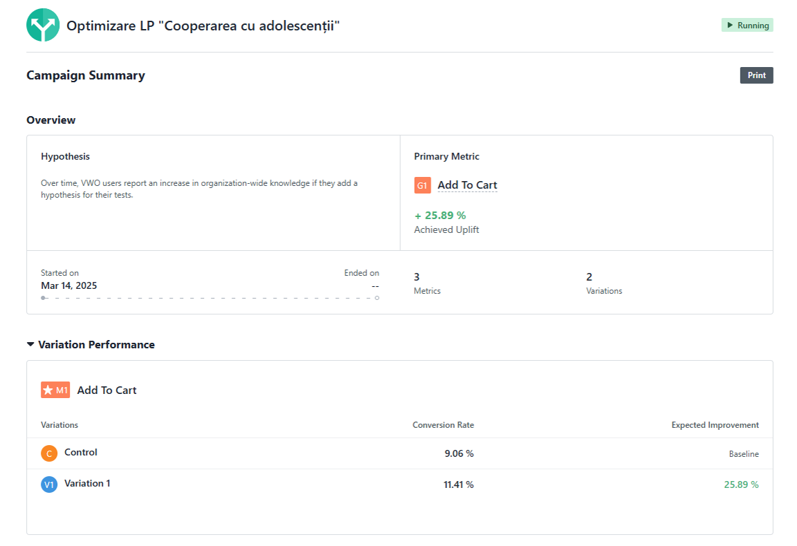 Site-ul original fără optimizări